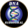 DNA-Ribosomal's Photo